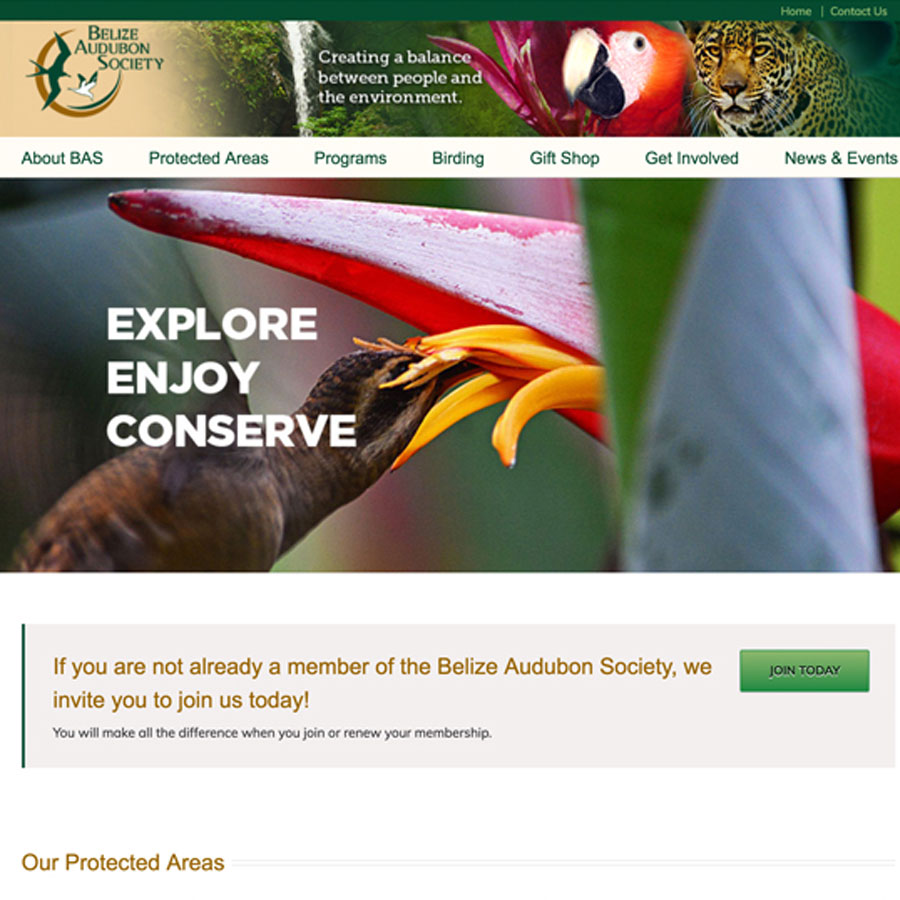 Belize Audubon society home page